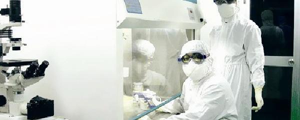 生物安全與生物技術開發 定義、挑戰與前景