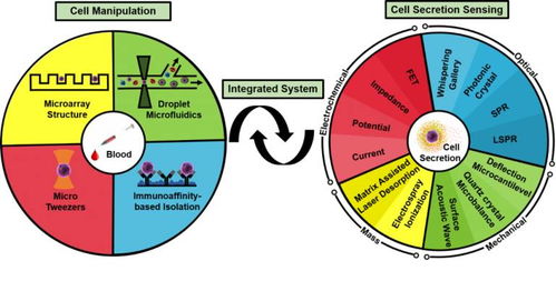 基于微流體系統(tǒng)的單細(xì)胞生物檢測技術(shù)的發(fā)展與展望